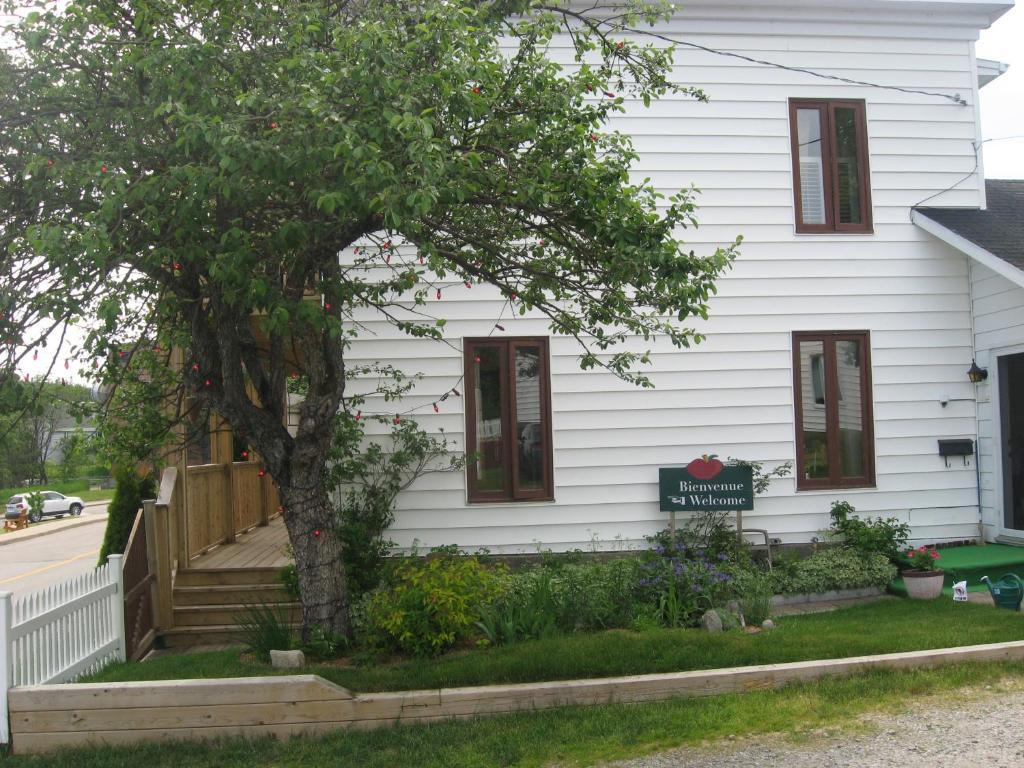 Gite Au Vieux Pommier Tadoussac Ngoại thất bức ảnh