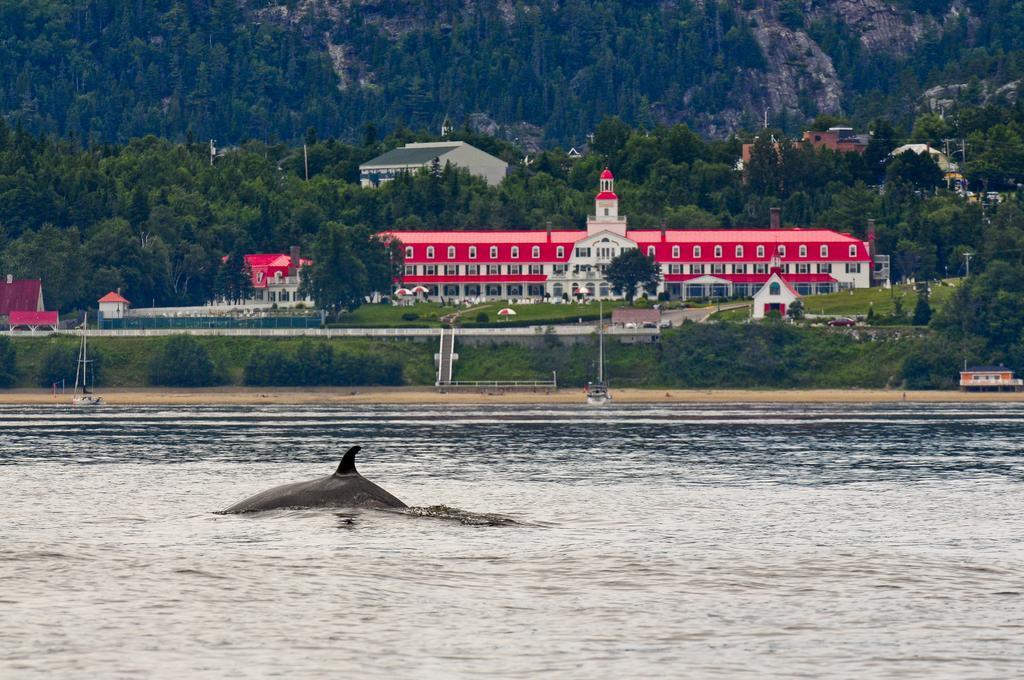 Gite Au Vieux Pommier Tadoussac Ngoại thất bức ảnh