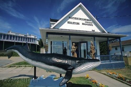 Gite Au Vieux Pommier Tadoussac Ngoại thất bức ảnh