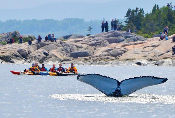Gite Au Vieux Pommier Tadoussac Ngoại thất bức ảnh
